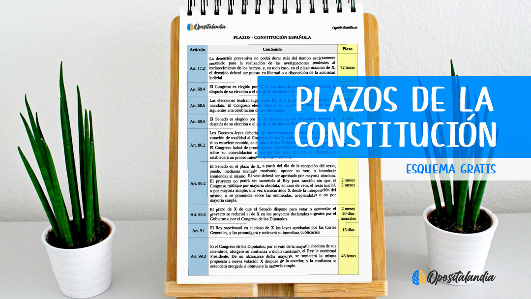 plazos de la constitucion española